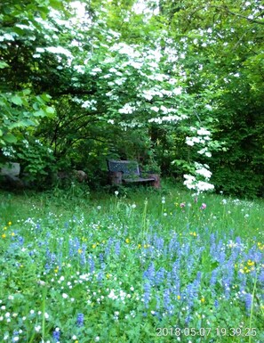 Property grounds - Ferienwohnung 1-4 Personen (Marktschellenberg)