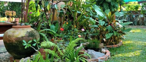 Garden view