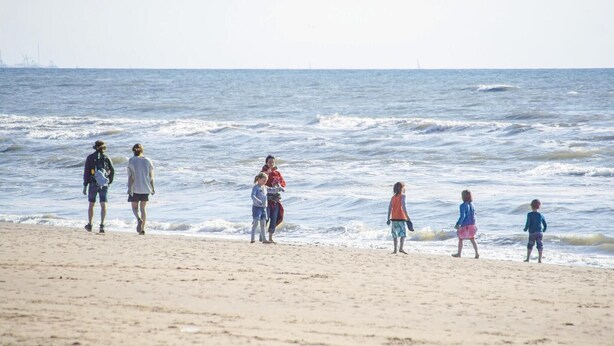 A beach with a sandy shore and the ocean in the background.