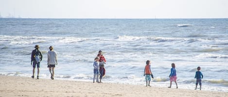 Beach nearby, fishing