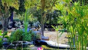 A serene garden pond with lily pads, a pink water lily, and various plants.