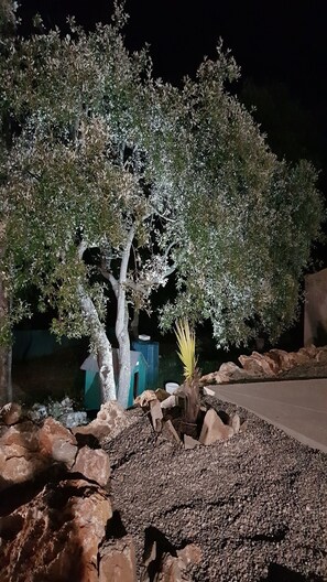 المنطقة المحيطة بالمنشأة