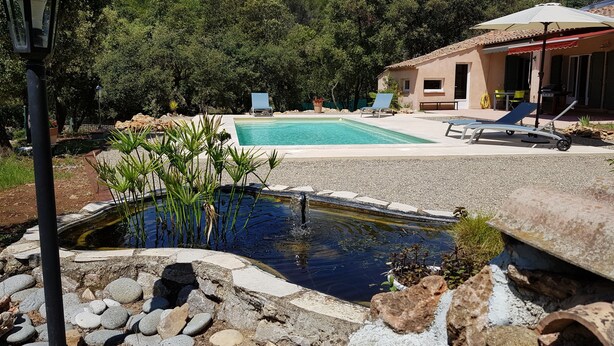A swimming pool with a small pond, surrounded by rocks and plants, and a house with a patio and lounge chairs in the background.