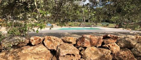 A pool surrounded by rocks and trees.