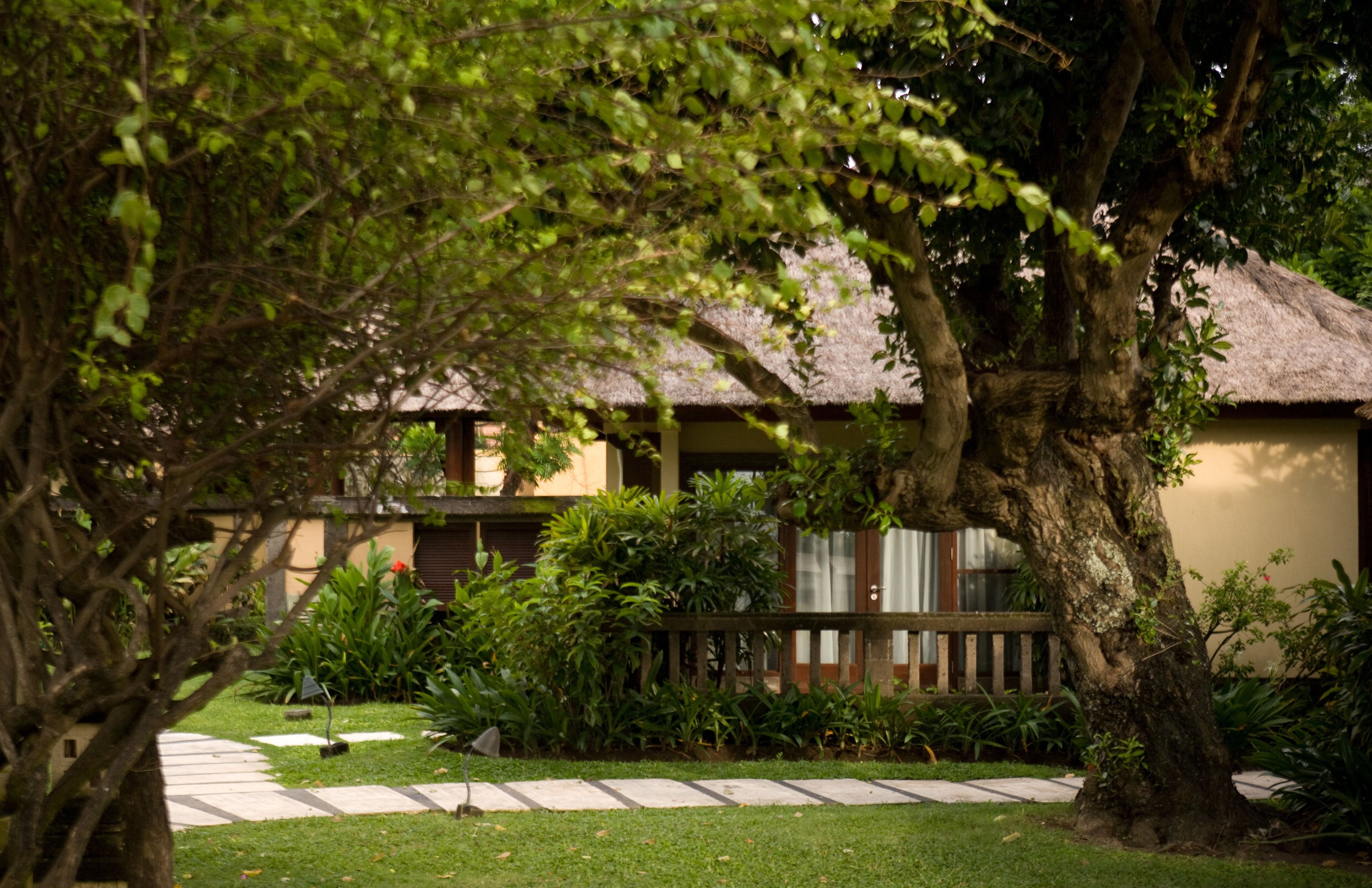 minibar, in-room safe, desk, blackout curtains