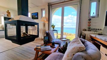 Télévision, cheminée, lecteur de DVD, vidéothÚque