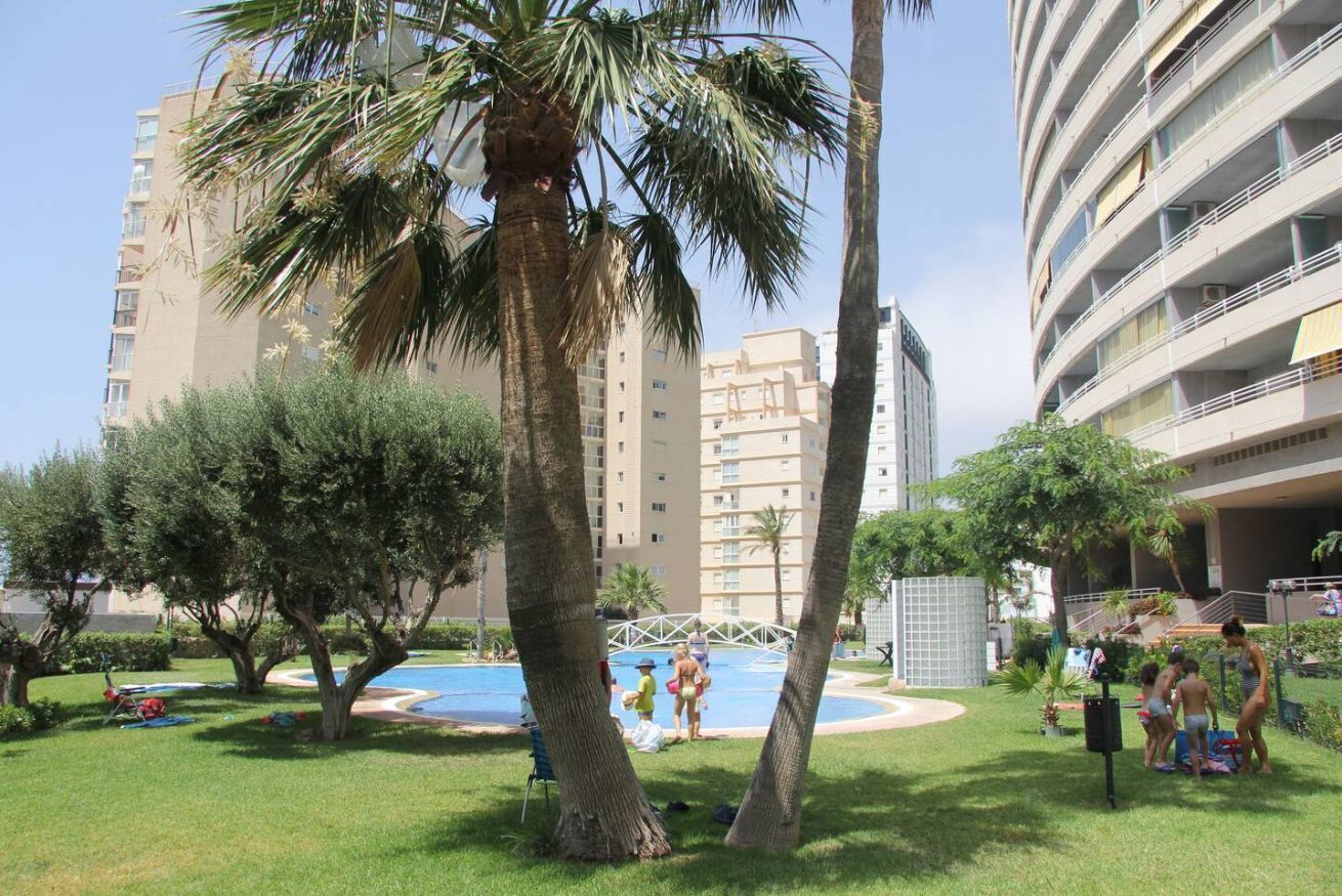 A pool area with palm trees, a grassy lawn, and a building with multiple balconies.
