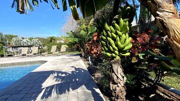 Una piscina climatizada
