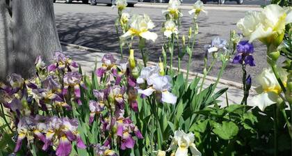 CHARMING home near BRIAN HEAD/Shakespeare/SUU/Walk to Quaint Downtown/Bryce/Zion