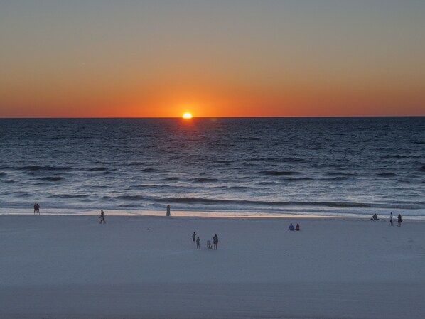 Sun-loungers, beach towels - Avalon Palm, 2 Bed 2 Bath Clearwater Vacation Condo. (Clearwater)