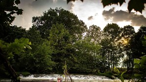 Une rivière avec une petite cascade, entourée d’une forêt dense.