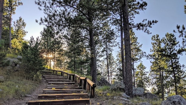 Una escalera de madera que asciende por una colina, rodeada de árboles y rocas.