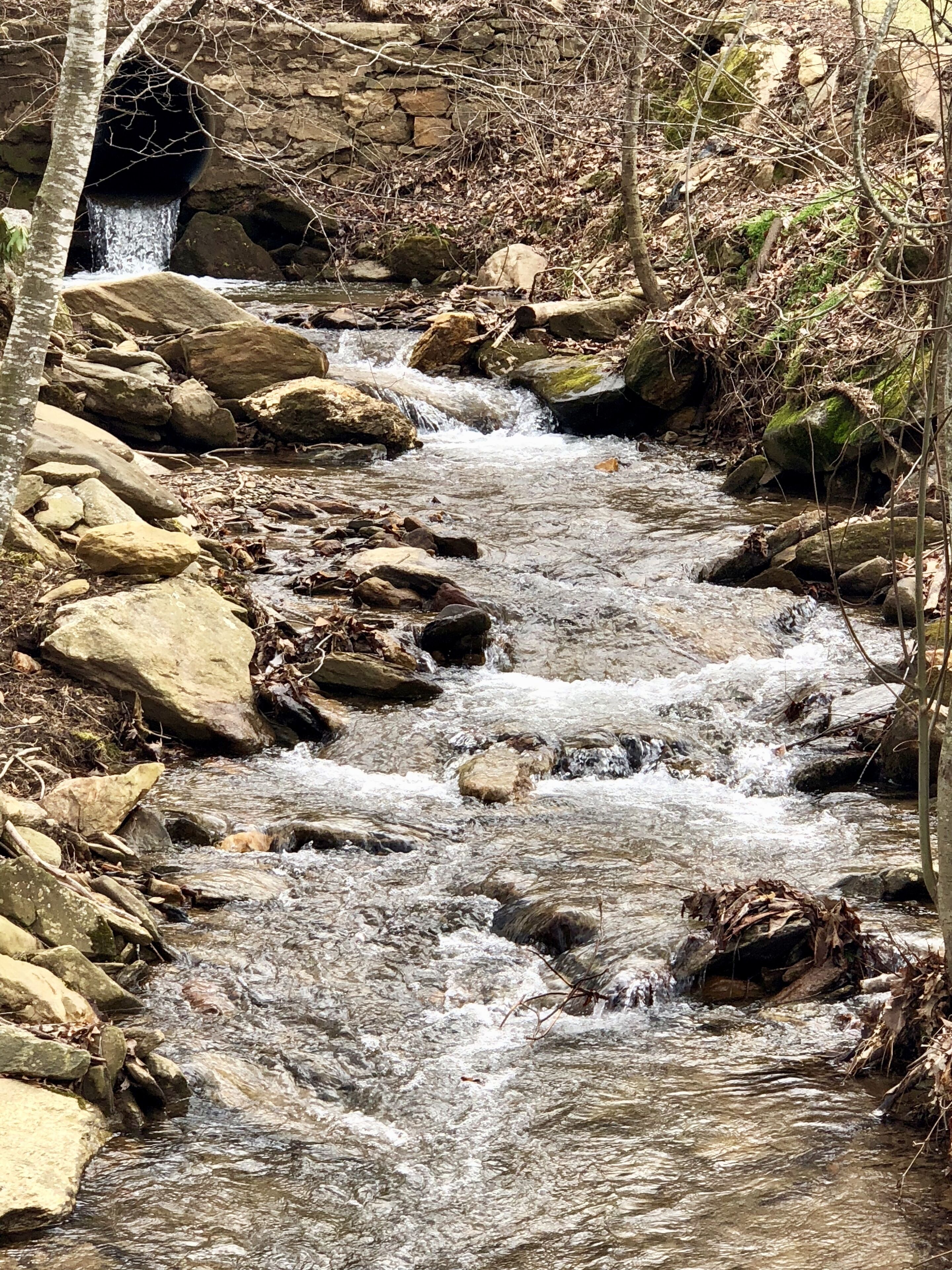 Un ruisseau qui serpente à travers un paysage rocheux, avec un mur de pierres et des arbres.