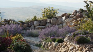 Un jardin avec un mur de pierres, diverses plantes à fleurs et un sentier de terre.