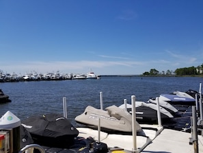 Marina