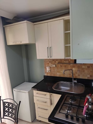 2+1 Ground Floor Suite | Cucina privata | Mini-frigorifero, piano cottura, piastra, pentole/stoviglie/utensili
