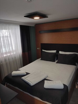 1+1 Basement Suite