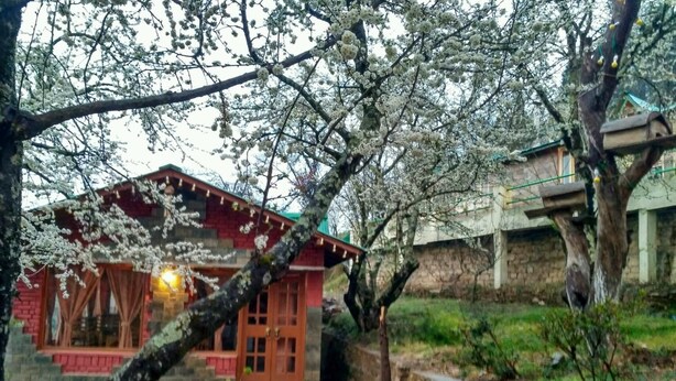 A traditional building with a stone pathway leading to a wooden door. - Trinetra Orchards (Dhari)