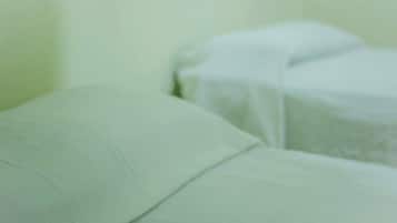 Economy Double Room | 1 bedroom, premium bedding, in-room safe, desk