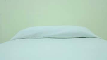 Economy Double Room | 1 bedroom, premium bedding, in-room safe, desk
