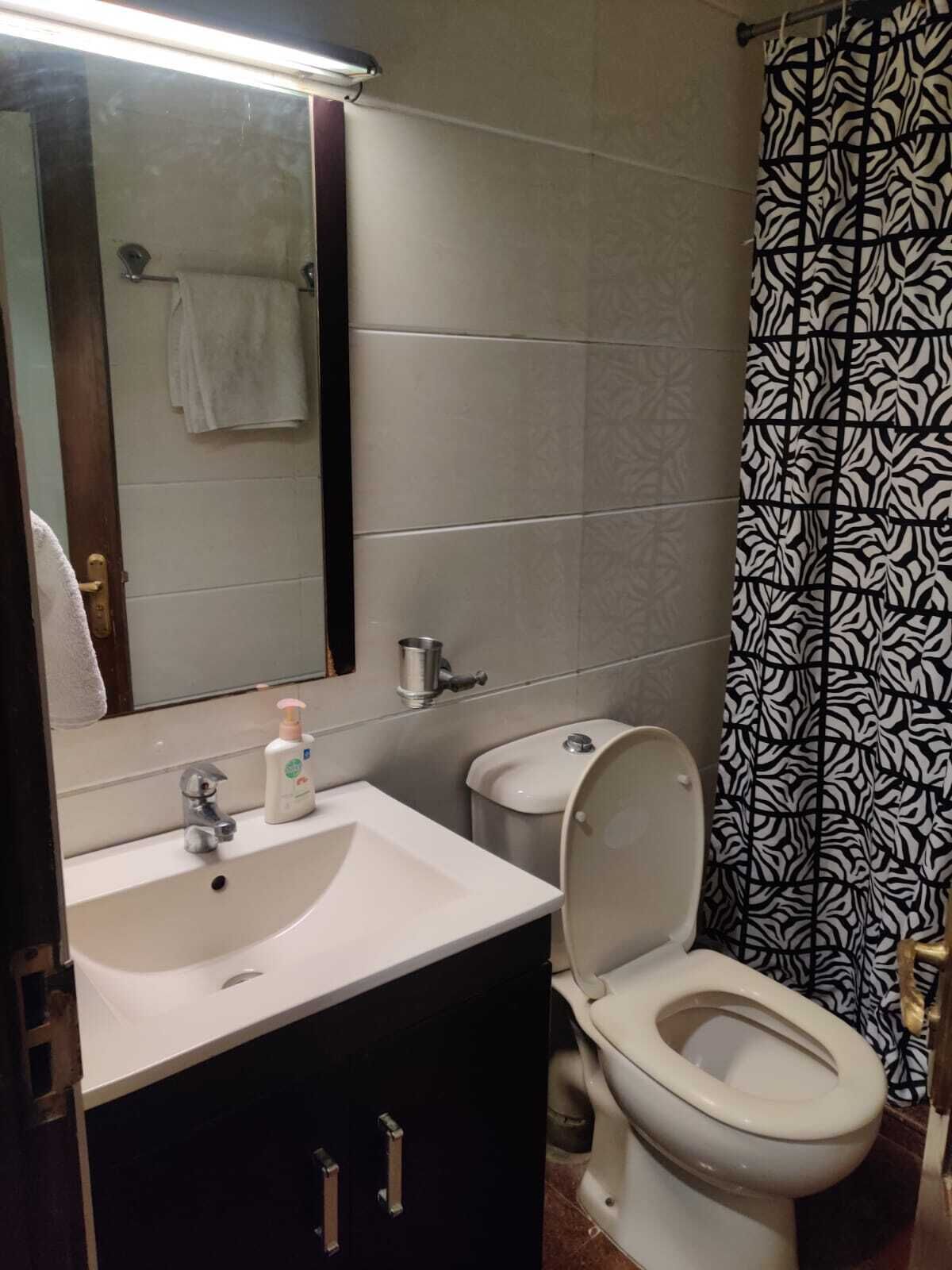 A bathroom with a white sink, a mirror, a toilet, and a shower curtain with a zebra pattern.