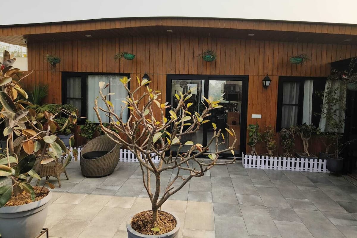 A building with a wooden facade, potted plants, and a white picket fence.