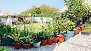 Habitación Deluxe, vista al jardín | Terraza o patio