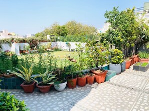 Deluxe Room, Garden View | Terrace/patio - vandanas bed and breakfast (New Delhi)