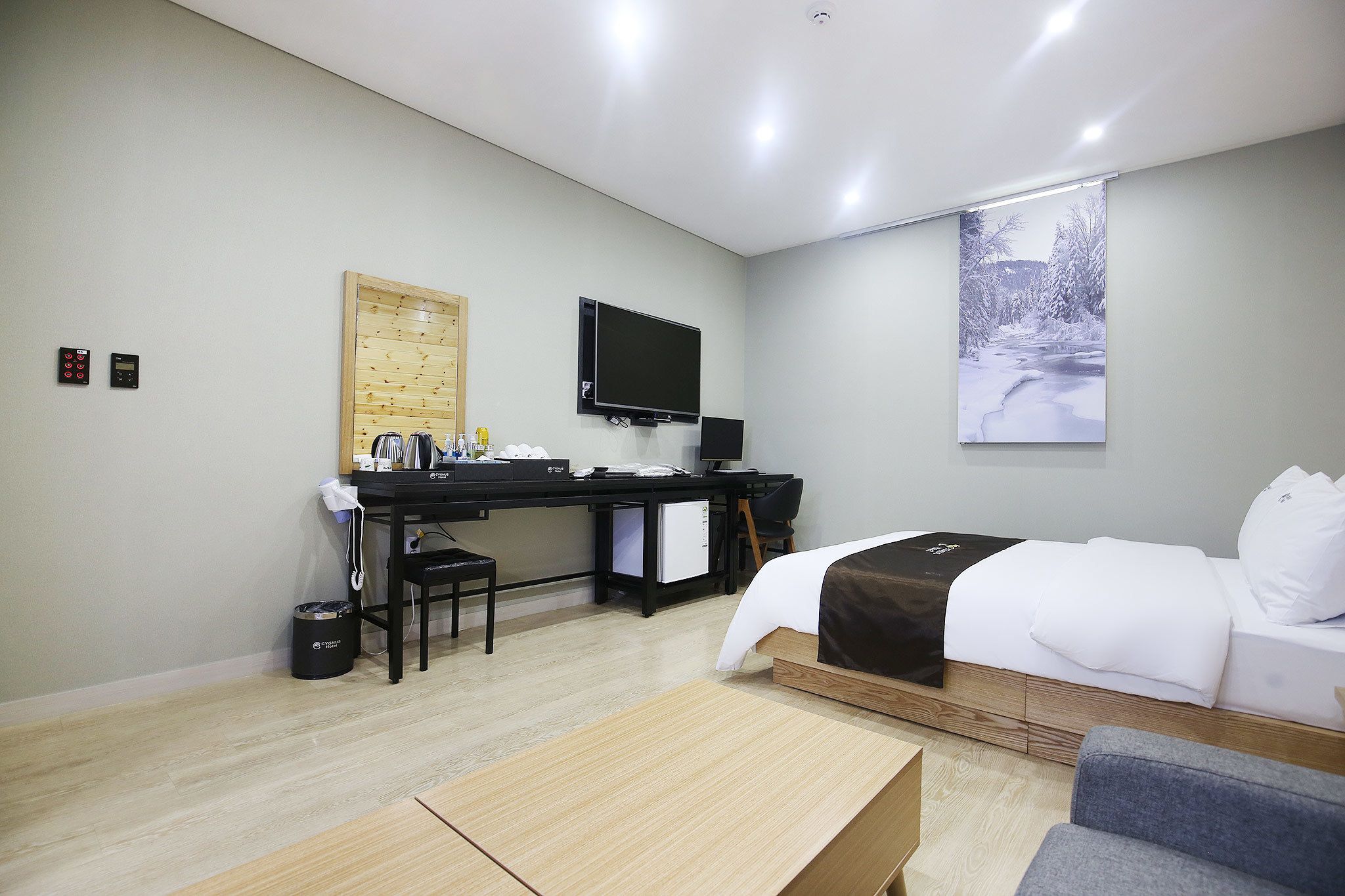 deluxe room | free wifi