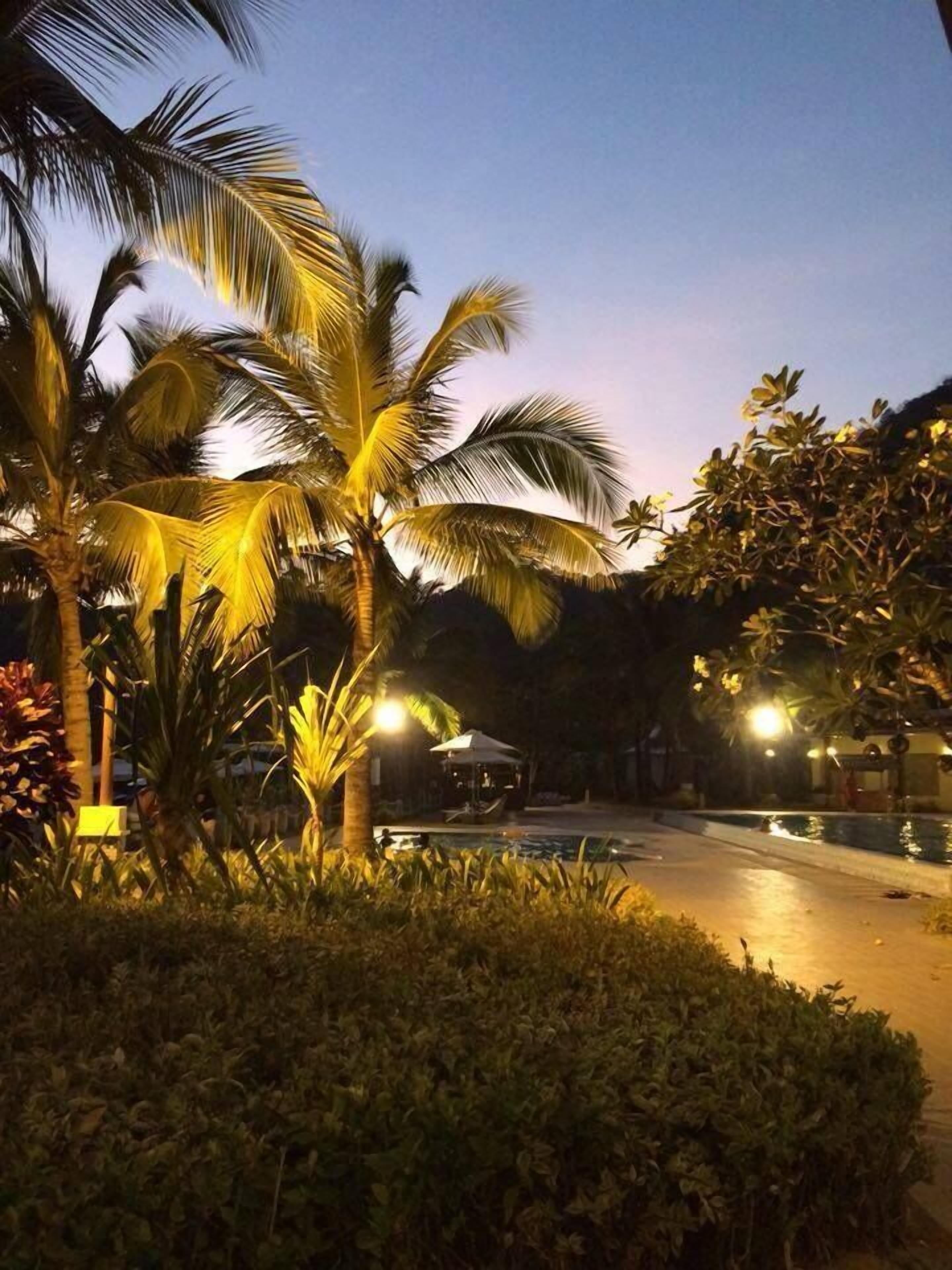 A nighttime outdoor area with palm trees, a pool, and a gazebo.