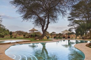 Outdoor pool, sun loungers