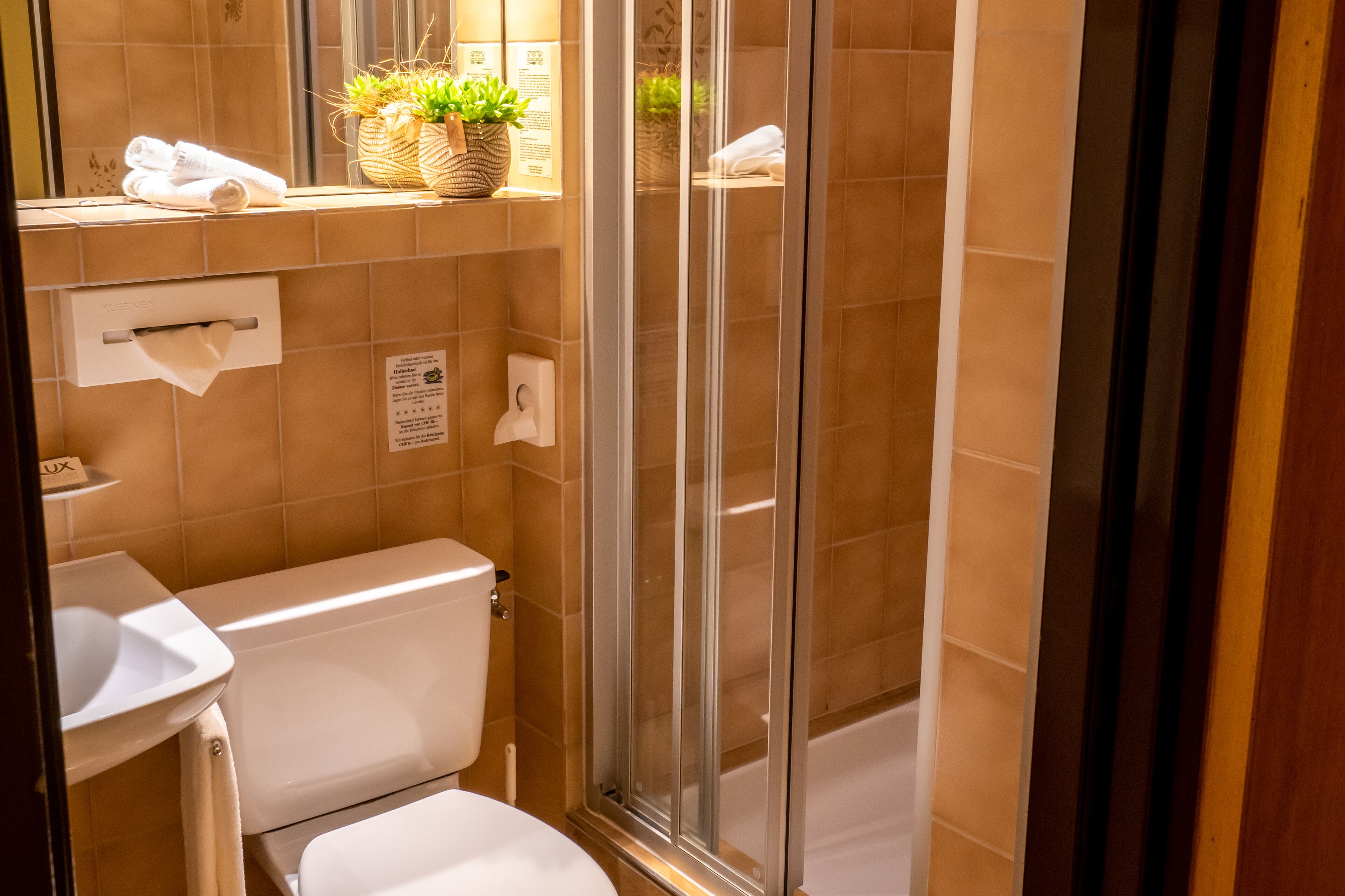 Une salle de bain comprenant des toilettes, un lavabo et un espace douche.