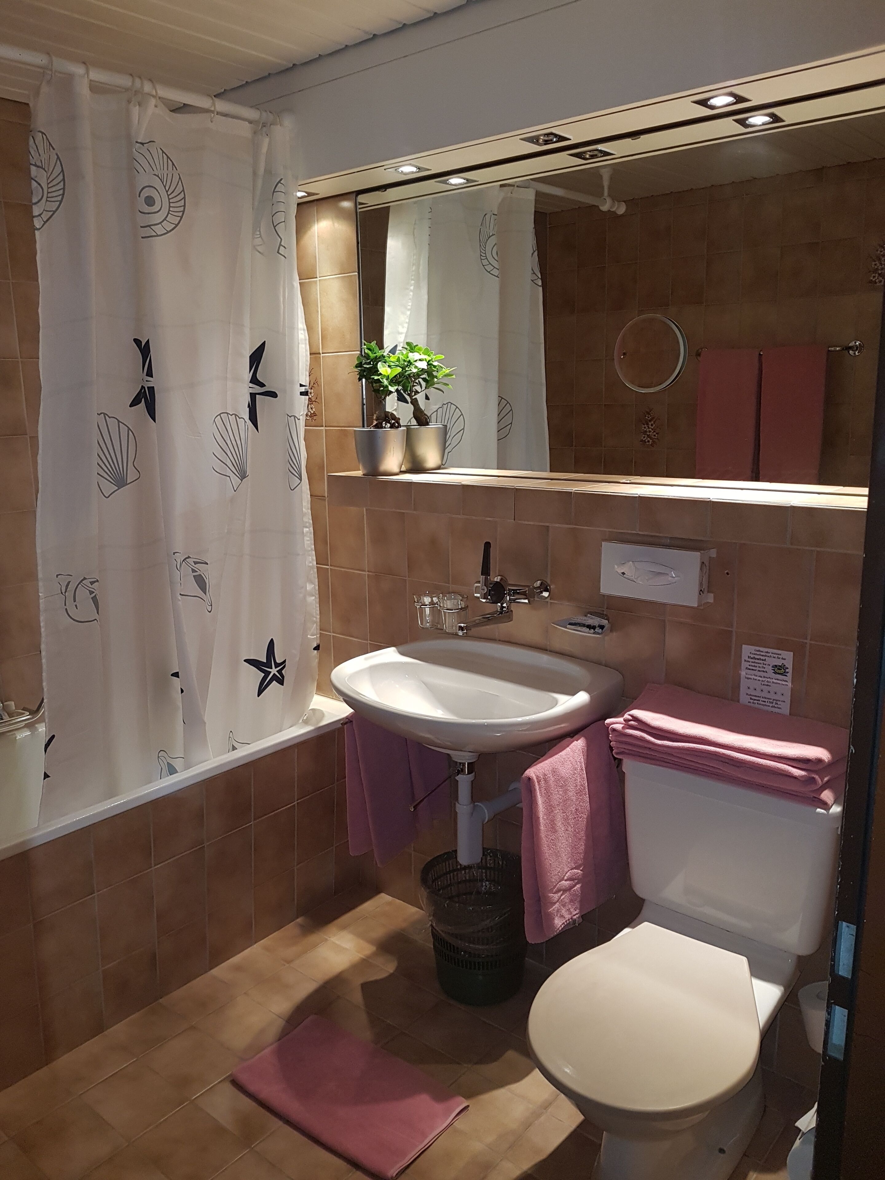 family room, 2 bedrooms, kitchenette, mountain view | bathroom | free toiletries, towels