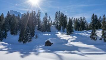 Een besneeuwde blokhut omringd door altijdgroene bomen onder een heldere lucht.