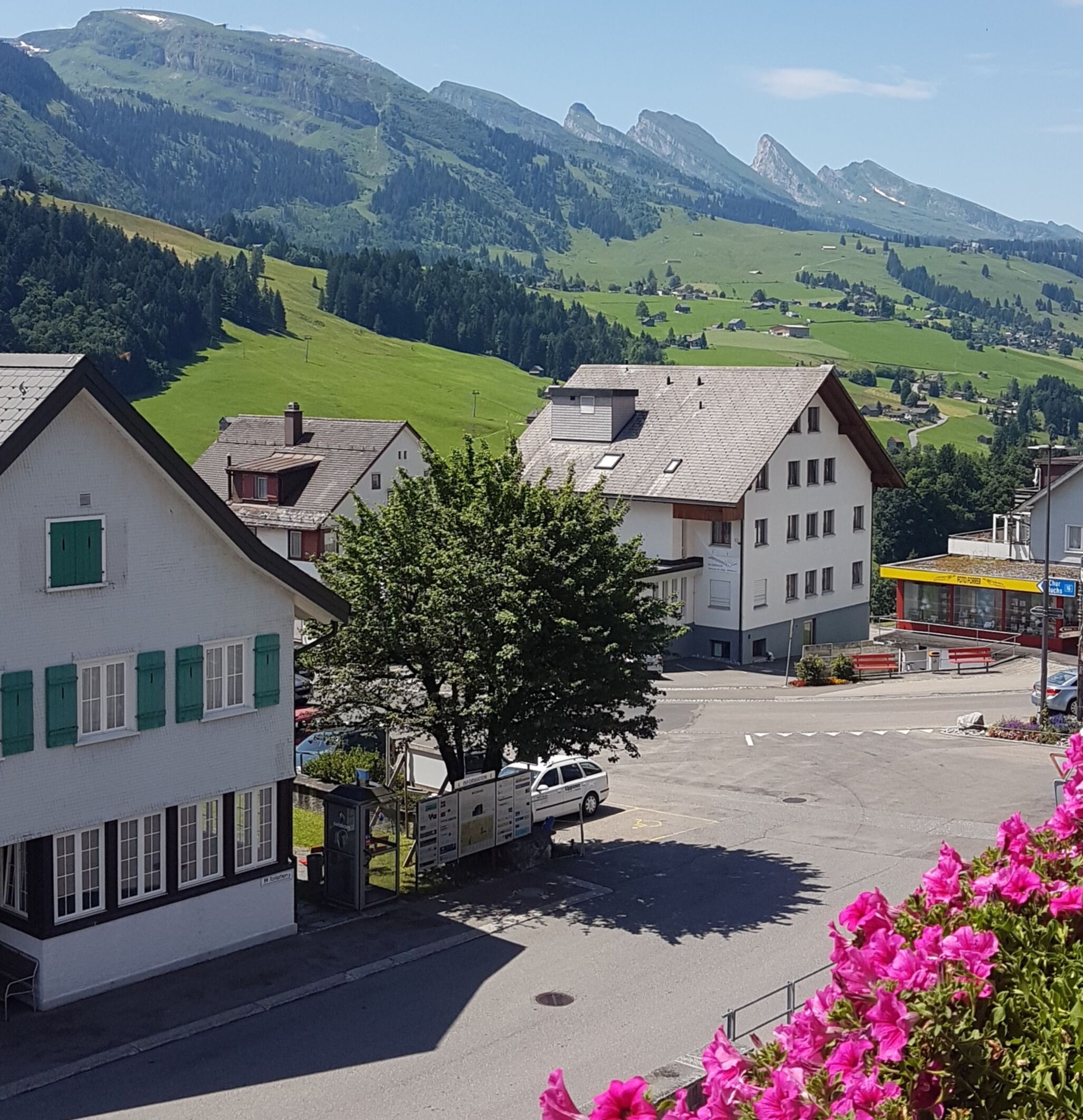 family room, 2 bedrooms, kitchenette, mountain view | view from room