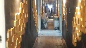 Uklassifisert bilde, 3 av 22, knapp