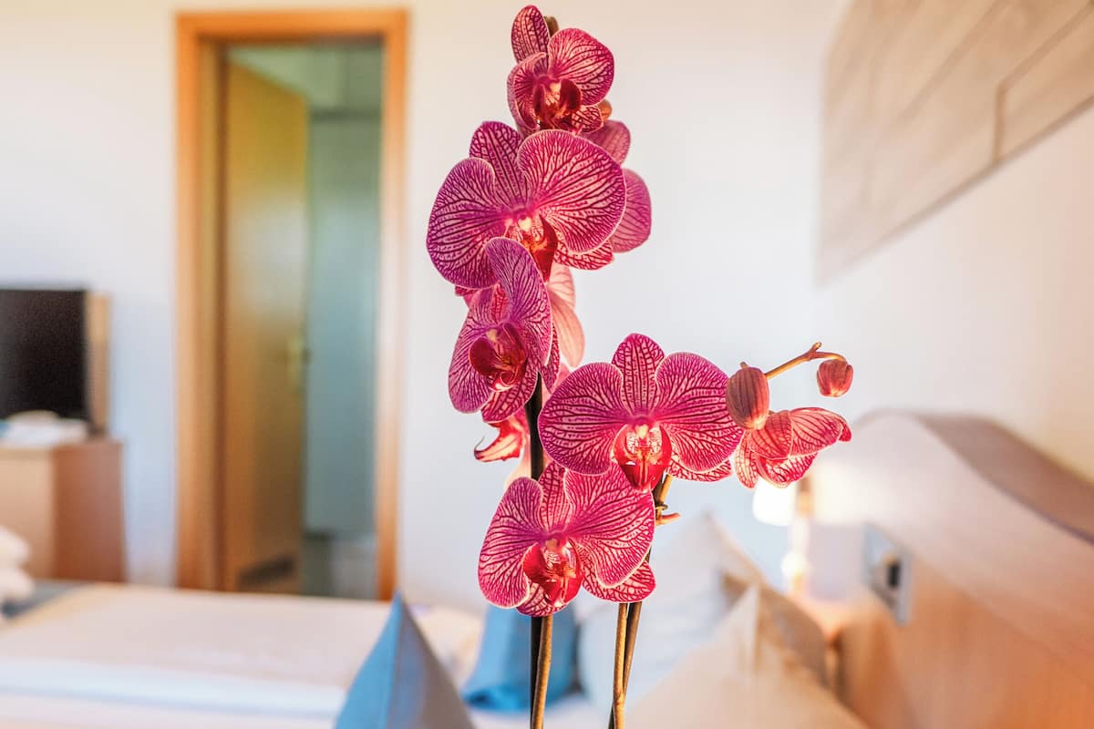 Comfort Double Room | In-room safe, desk, iron/ironing board, free WiFi