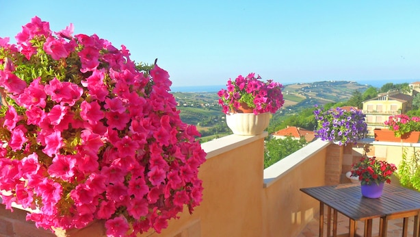 Ein Balkon mit rosa Blumen, ein Tisch mit Tee-Service und Blick auf die Landschaft.