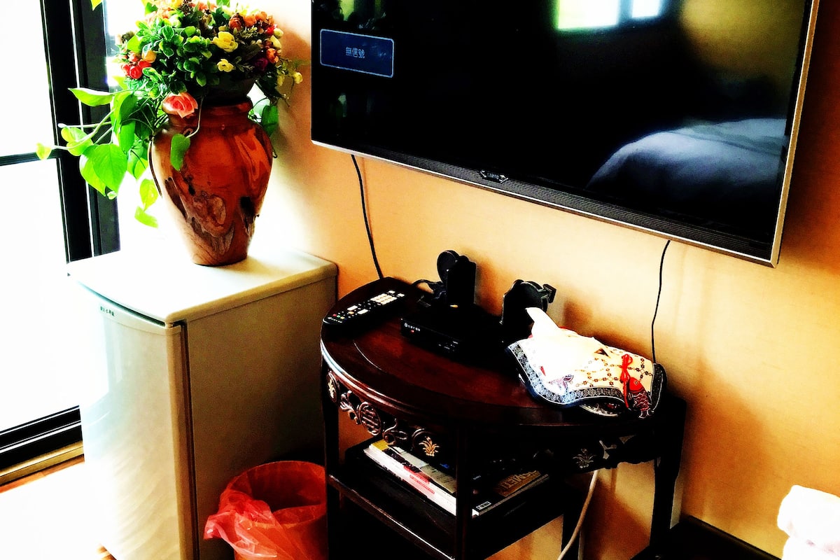 Un salon avec un téléviseur à écran plat fixé au mur, un meuble de rangement en bois, un petit réfrigérateur blanc et une plante en pot posée sur un rebord de fenêtre.
