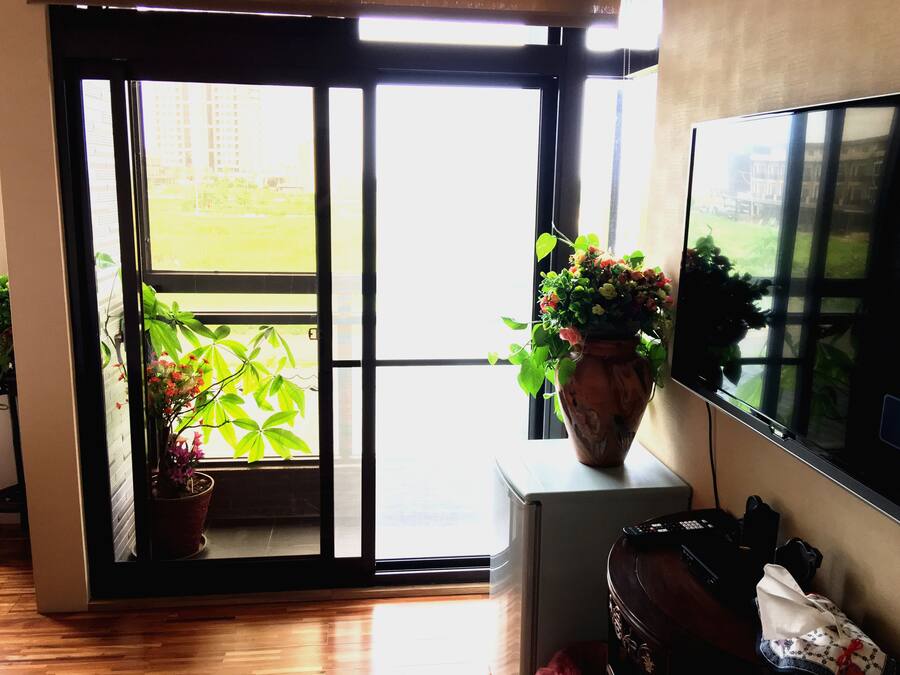 A room with a sliding glass door leading to a balcony, a large potted plant on the windowsill, and a flat-screen TV mounted on the wall.