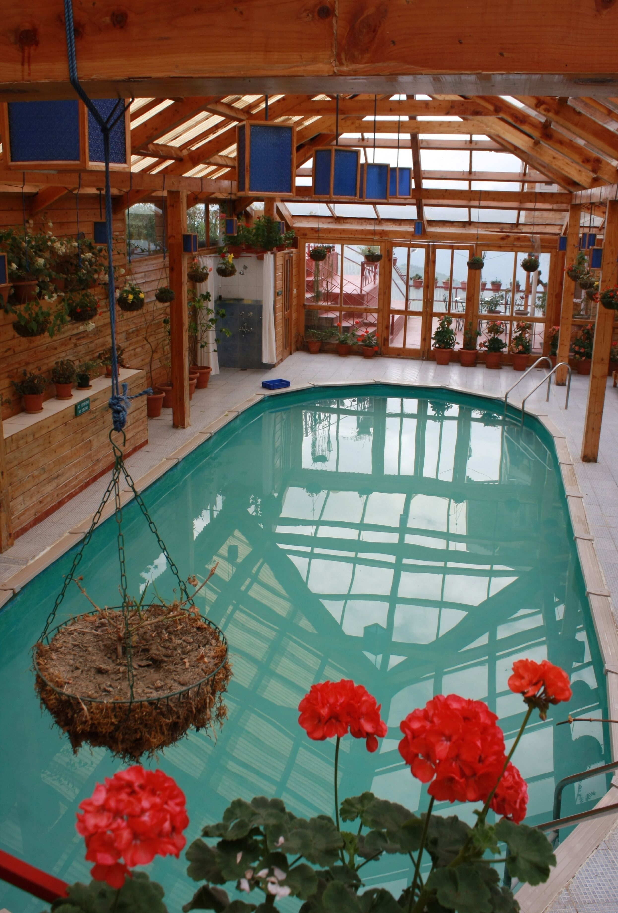 An indoor swimming pool with wooden beams and potted plants.