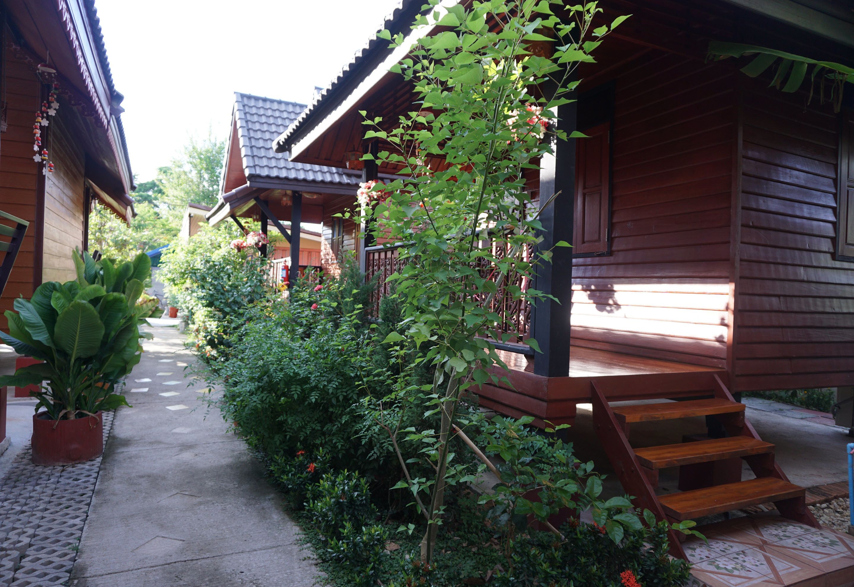 A wooden house with a porch, surrounded by lush greenery and potted plants.