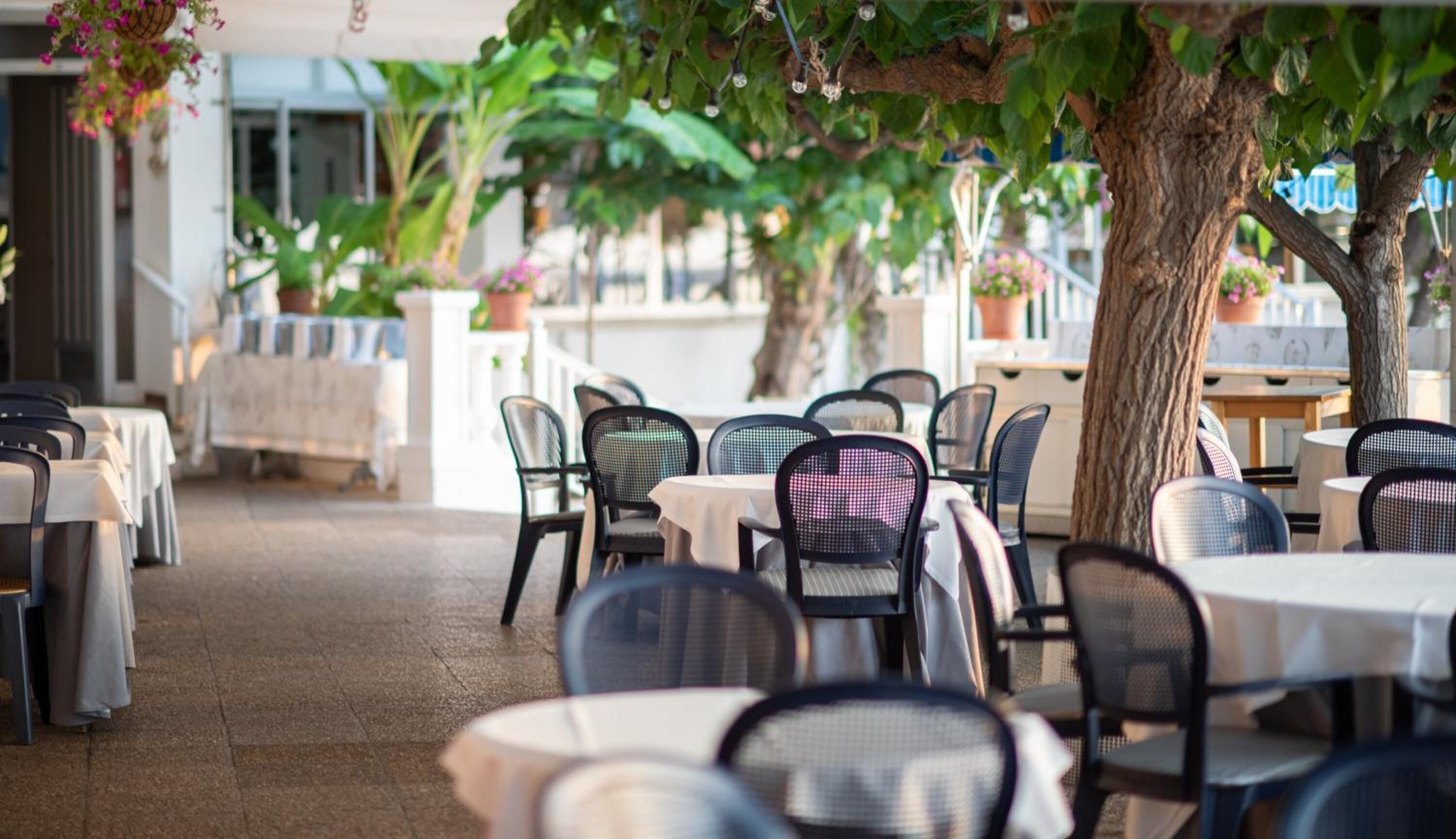 breakfast, lunch and dinner served