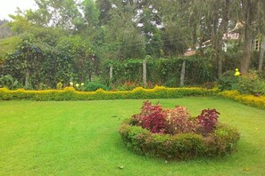 Jardim