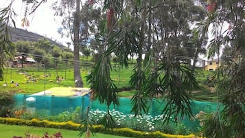 Pemandangan dari hartanah