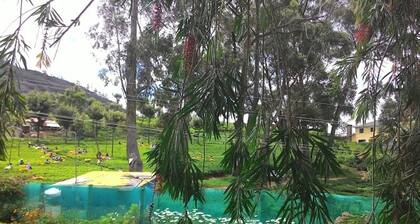GuestHouser 3 BHK Cottage 11bf