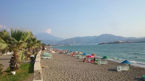 A beach with palm trees, beach chairs, umbrellas, and a view of mountains in the distance.