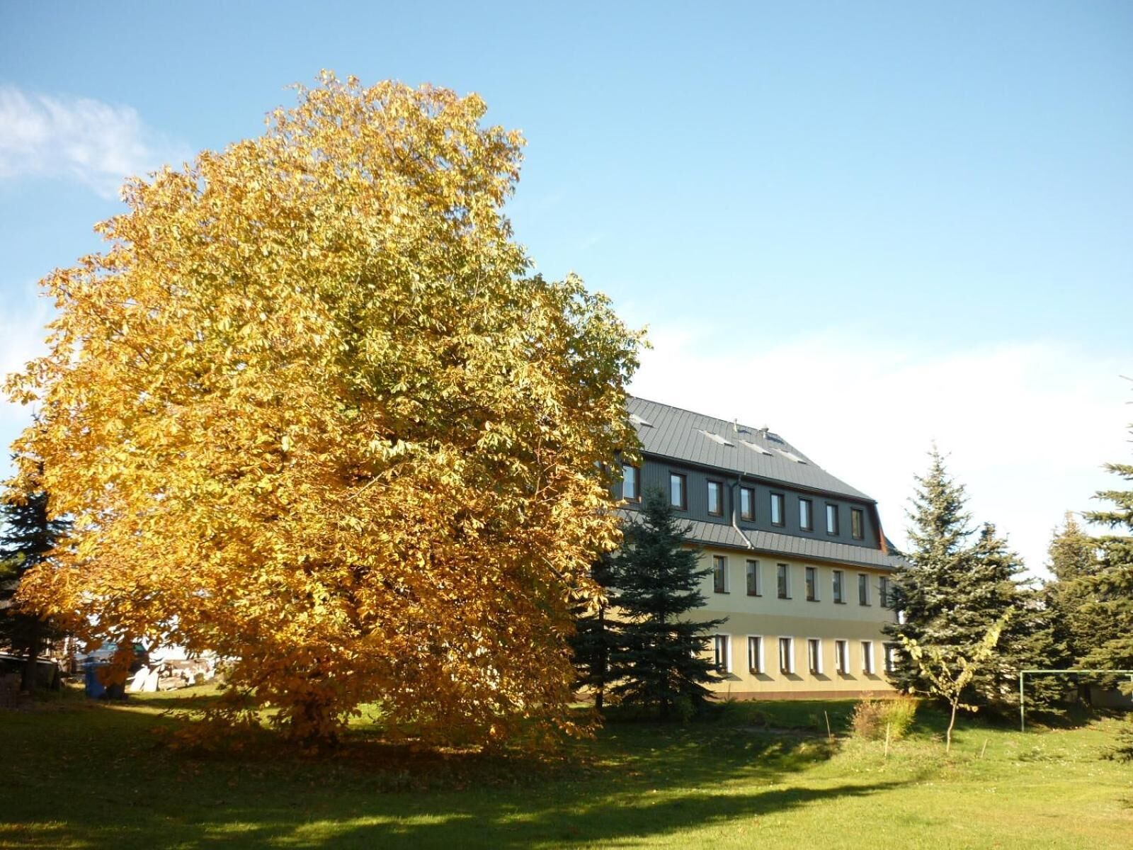 A large building with a flat roof and multiple windows, surrounded by trees and grass.