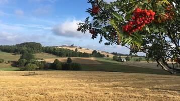 A rural landscape with a field of golden wheat, a hill with a building, and a tree with red berries.