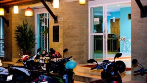 Un edificio con varias motocicletas estacionadas afuera, una planta grande en maceta y una bicicleta visible a través de los puertas de vidrio.